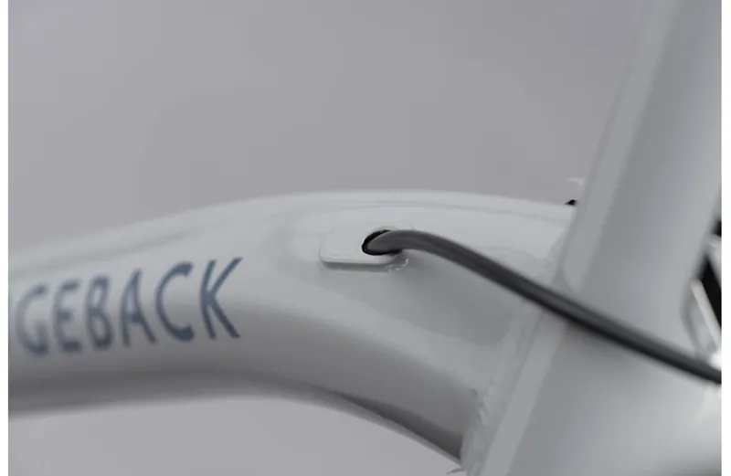 Ridgeback Element EQ Hybrid Bike in Silver-2