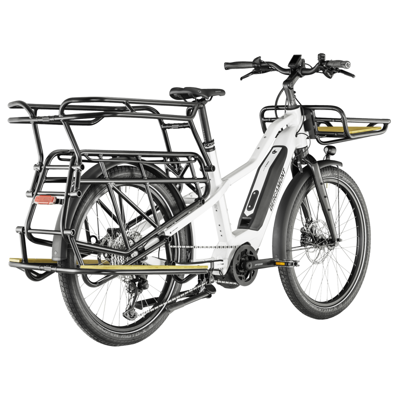 Bergamont E-Cargoville LT Expert Family Edition-3