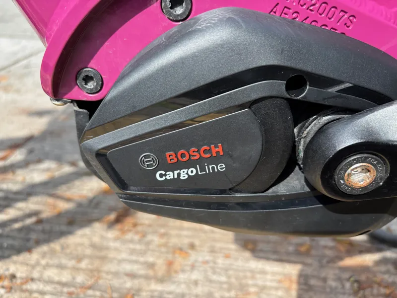 EX-DEMO Yuba Spicy Curry Family Edition Very Berry-3