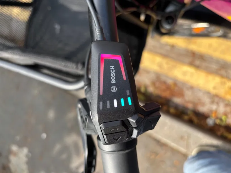 EX-DEMO Yuba Spicy Curry Family Edition Very Berry-4