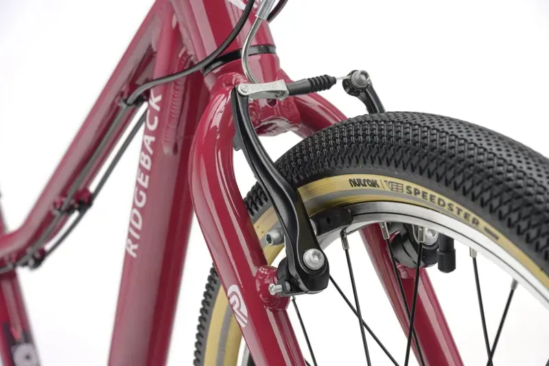 Ridgeback Dimension 20 Kids Bike in Perfectly Plum-11