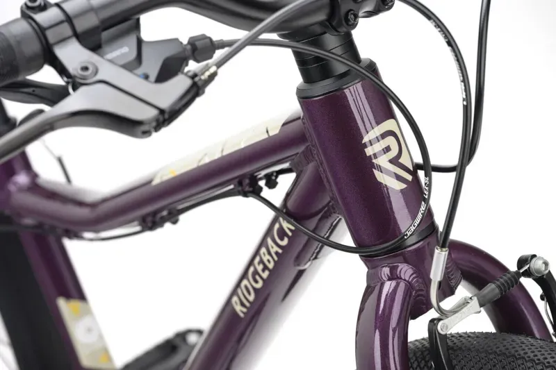 Ridgeback Dimension 24 Kids Bike in Vanquish Violet-2
